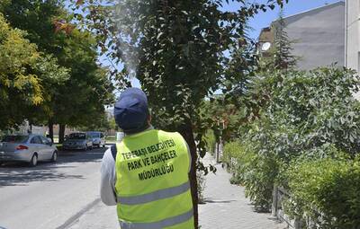 SOKAK AĞAÇLARI VE PARKLAR İLAÇLANIYOR